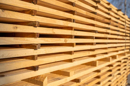 Storage of piles of wooden boards on the sawmill. Boards are stacked in a carpentry shop. Sawing drying and marketing of wood. Pine lumber for furniture production, construction. Lumber Industry.の写真素材