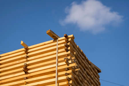 Storage of piles of wooden boards on the sawmill. Boards are stacked in a carpentry shop. Sawing drying and marketing of wood. Pine lumber for furniture production, construction. Lumber Industry.の写真素材