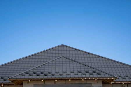 Brown corrugated metal profile roof installed on a modern house. The roof of corrugated sheet....