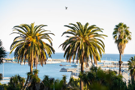 Vibrant palm trees framing a sunny coastal harbor, a seagull flying over the sea, offering travel...