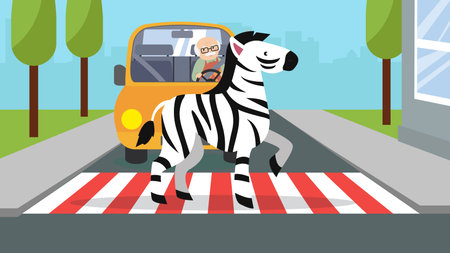Zebra crosses the road at a pedestrian crossingのイラスト素材