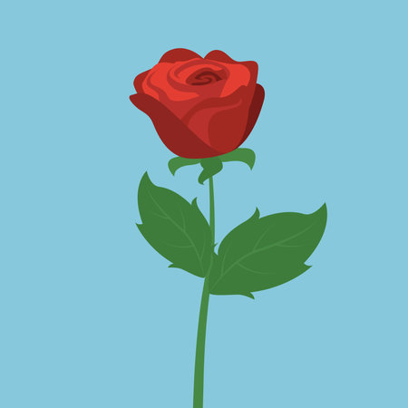Red rose on a blue background. Vector illustration in flat style.のイラスト素材