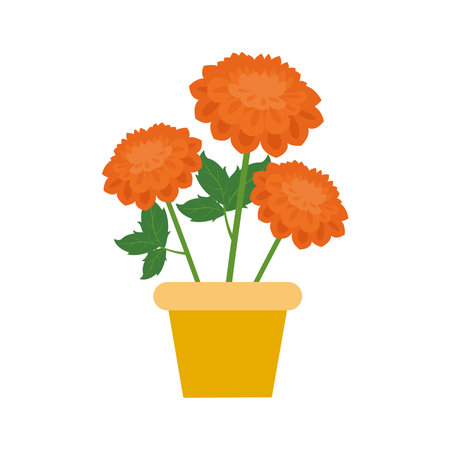 Orange dahlia flowers in pot icon vector Illustration graphic designのイラスト素材