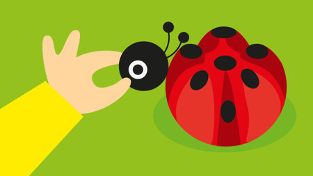 Ladybug in the hand. Vector illustration in flat design style.のイラスト素材