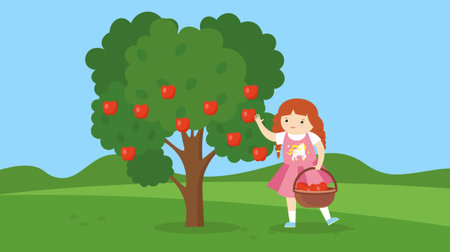 Little girl with basket of apples in the garden. Vector illustration.のイラスト素材