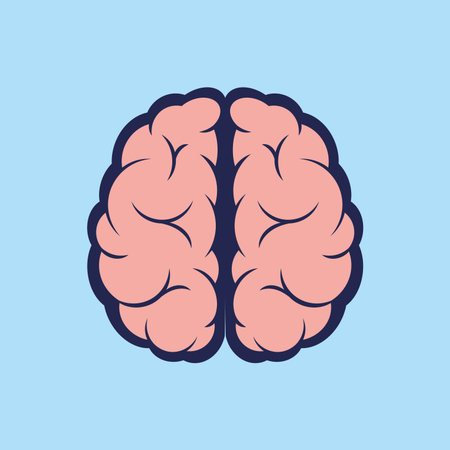 Human brain. Vector illustration in flat design. Isolated on blue background.