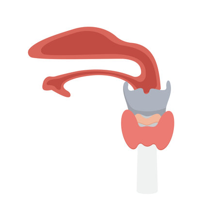 Vector illustration of toothache. Stomatology and dentistry.のイラスト素材