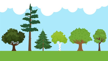 Pine trees in the forest. Vector illustration in flat style.のイラスト素材