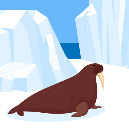 Walrus vector illustration. Wild animal on the ice floe.のイラスト素材