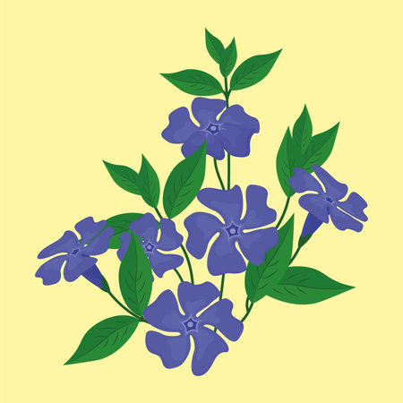Blue periwinkle flowers with leaves on yellow background. Vector illustration.のイラスト素材