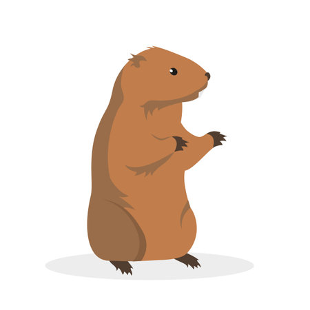 Groundhog icon. Flat illustration of groundhog vector icon for web designのイラスト素材