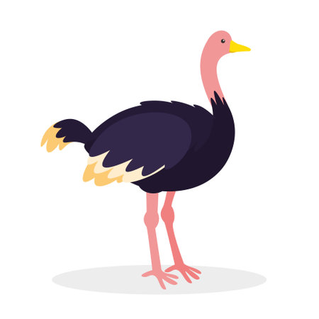 Ostrich flat icon with long shadow, vector illustration.のイラスト素材