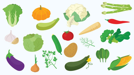 Vegetables set, vector illustration in flat style. Vegetarian food collection.のイラスト素材
