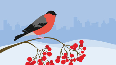 Bullfinch on a rowan branch. Vector illustration in flat style.のイラスト素材