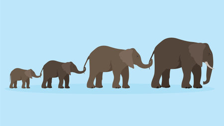 Elephants family. Vector illustration in flat style. Isolated on blue background.のイラスト素材