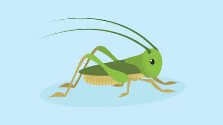 Grasshopper. Vector illustration in flat style. Isolated on blue background.のイラスト素材