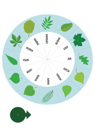 Vector illustration of a circular diagram showing the names of leaves and plantsのイラスト素材