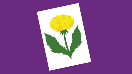 Illustration of a yellow flower on paperのイラスト素材