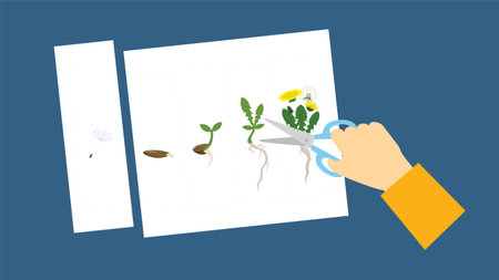 Illustration of a hand holding scissors cutting a sheet of paper with seedlingsのイラスト素材