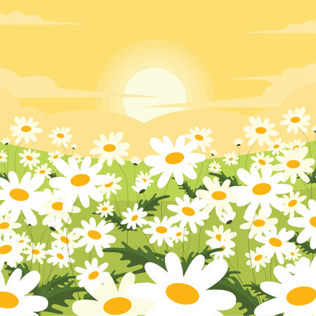 Flower meadow with daisies and sun. Vector illustration.のイラスト素材