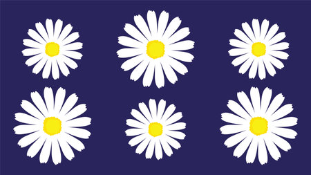 Daisy flowers on a dark blue background. Vector illustration. EPS 10.のイラスト素材
