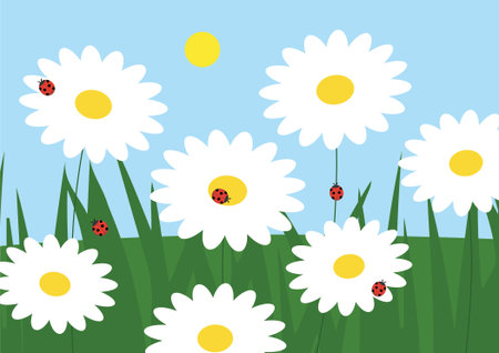 Spring background with daisies and ladybugs. Vector illustration.のイラスト素材