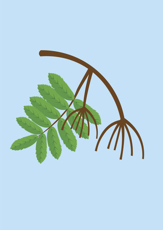 Autumn concept with leaves design, vector illustration 10 eps graphic.のイラスト素材