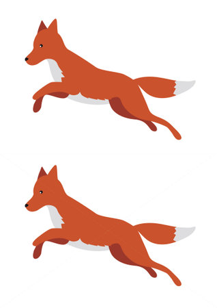 Red fox on a white background. Vector illustration in flat style.のイラスト素材