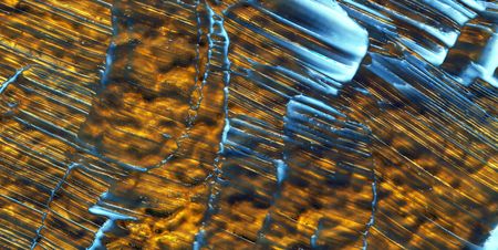 The pattern of a viscous liquid movement.の写真素材