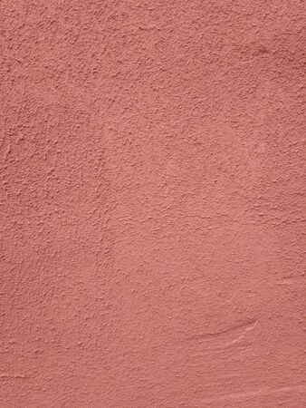 coral backgroundの写真素材