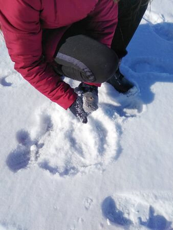 girl sculpts snowballsの写真素材