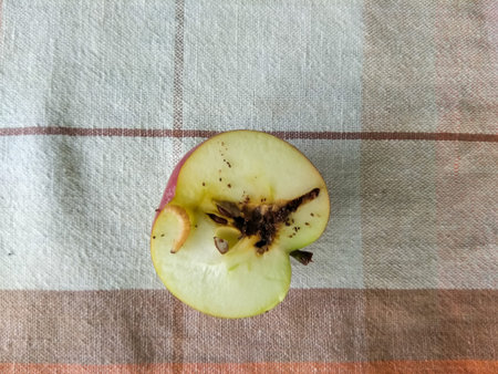 Half an apple with a worm