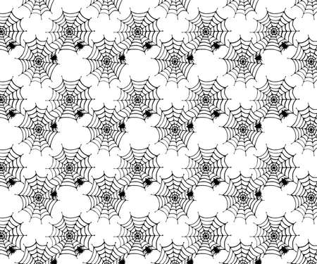 black spider web with spider on white backgroundの写真素材