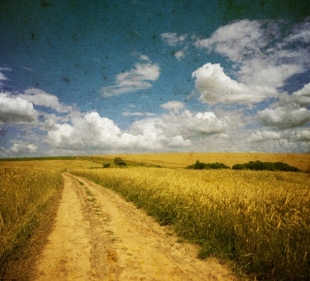   Rural dirt road through the fieldの写真素材