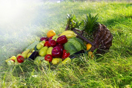 A harvest of seasnon vegetables spilling from a wicker basket の写真素材