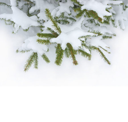 Christmas Tree - Isolated over White background