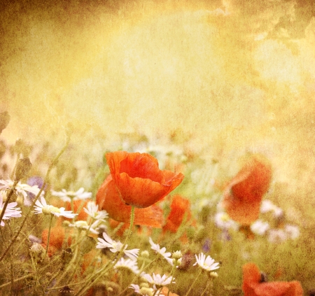 Grunge poppies backgroundの写真素材