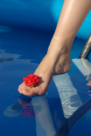 Leg in pool with a roseの写真素材