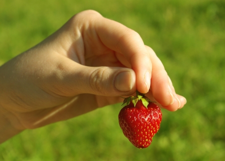 A woman holding a strawberry against green backgroundの写真素材