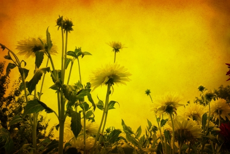 Photo of a flowers pasted on a grunge backgroundの写真素材