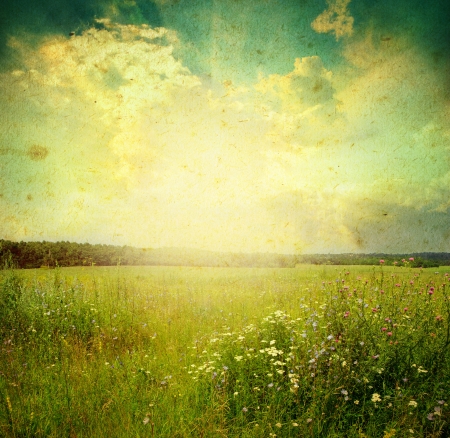 Green meadow under blue sky with cloudsの写真素材