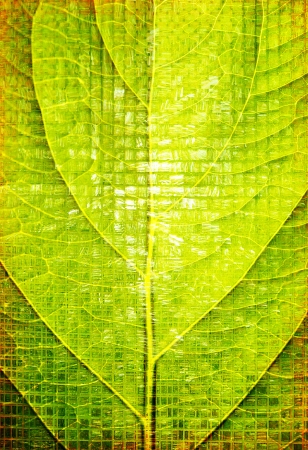 abstract mosaic backgroundの写真素材