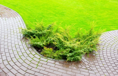Garden stone path with grass growing up between the stonesの写真素材