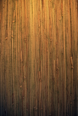 textureの写真素材