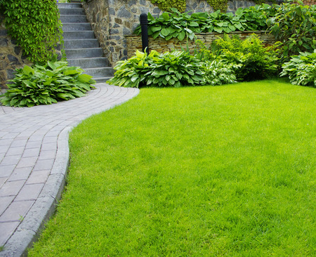 Garden stone path with grass growing up between the stonesの写真素材