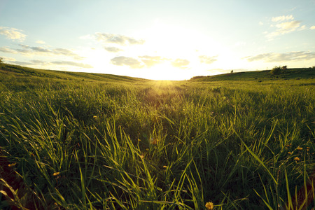 Green field and sky with light cloudsの写真素材