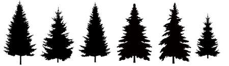 Set of Christmas trees, Collection of black vector Christmas trees.の写真素材