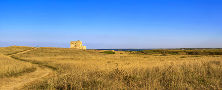 Summer landscape: a nature reserve of Torre Guaceto.BRINDISI (Apulia) -Italy- Race to the watchtower. Mediterranean maquis: a nature sanctuary between the land and the sea.の写真素材