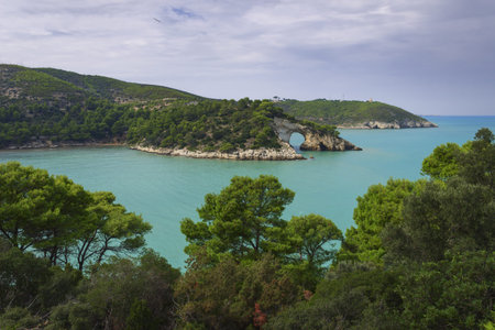 Apulia coast: panoramic view of San Felice Bay, Italy.Gargano National Park: the little rock arch (Architello) is spectacular symbol of Vieste town.In the distance Vieste perched high on the headland.の写真素材