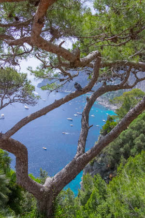Panoramic view of Marina Piccola and Tyrrhenian sea in Capri island, Italy.の写真素材